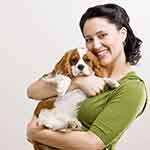 智能推荐精准的在线短信测压